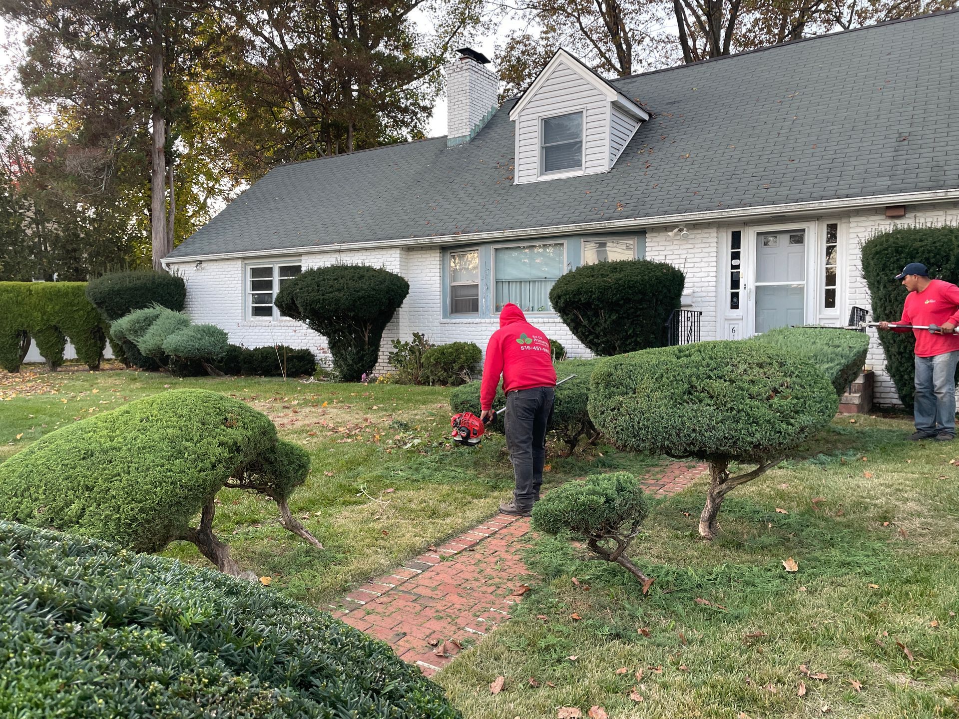 Two men are cutting bushes in front of a house.