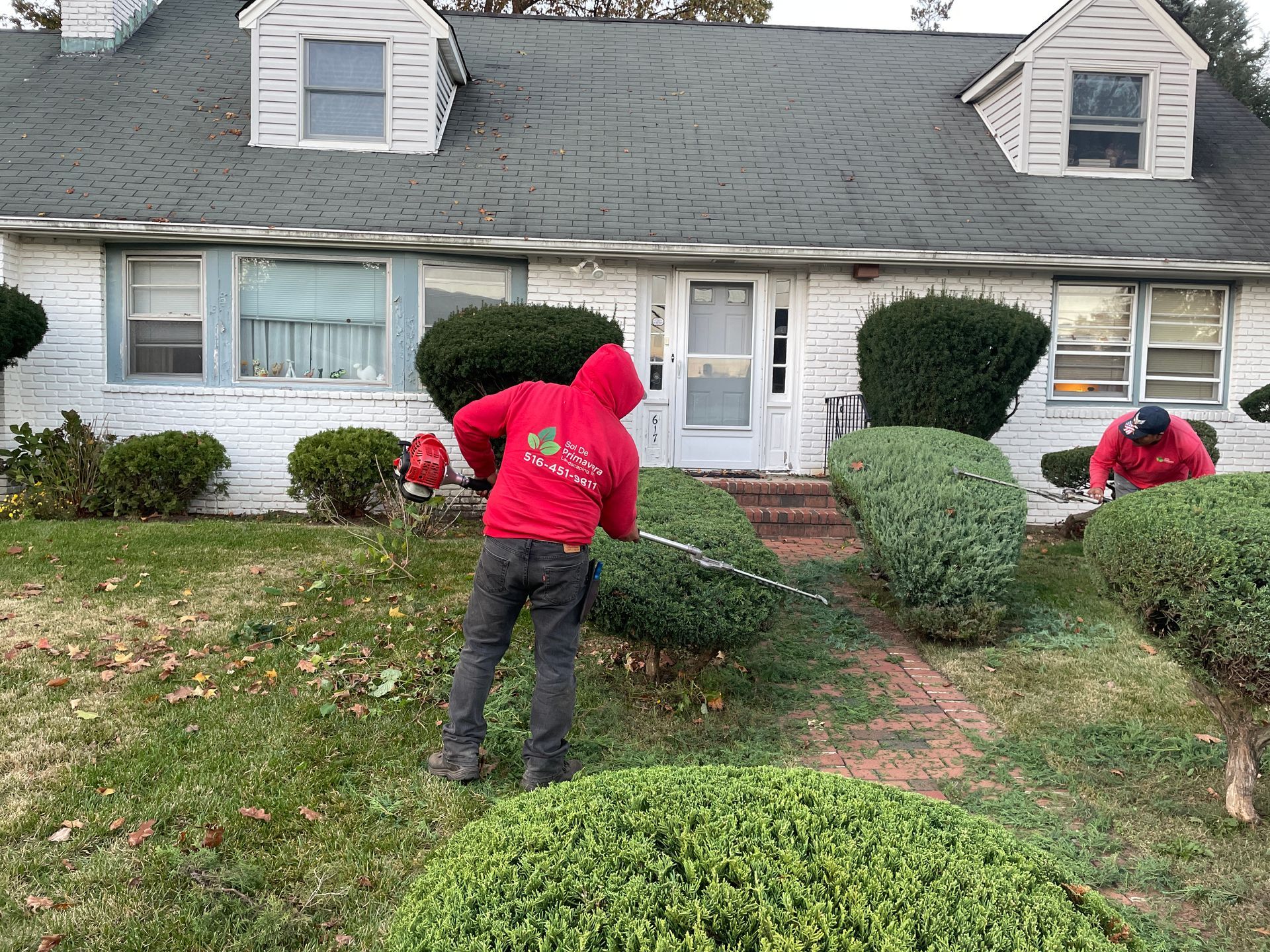 Two men are cutting bushes in front of a house.