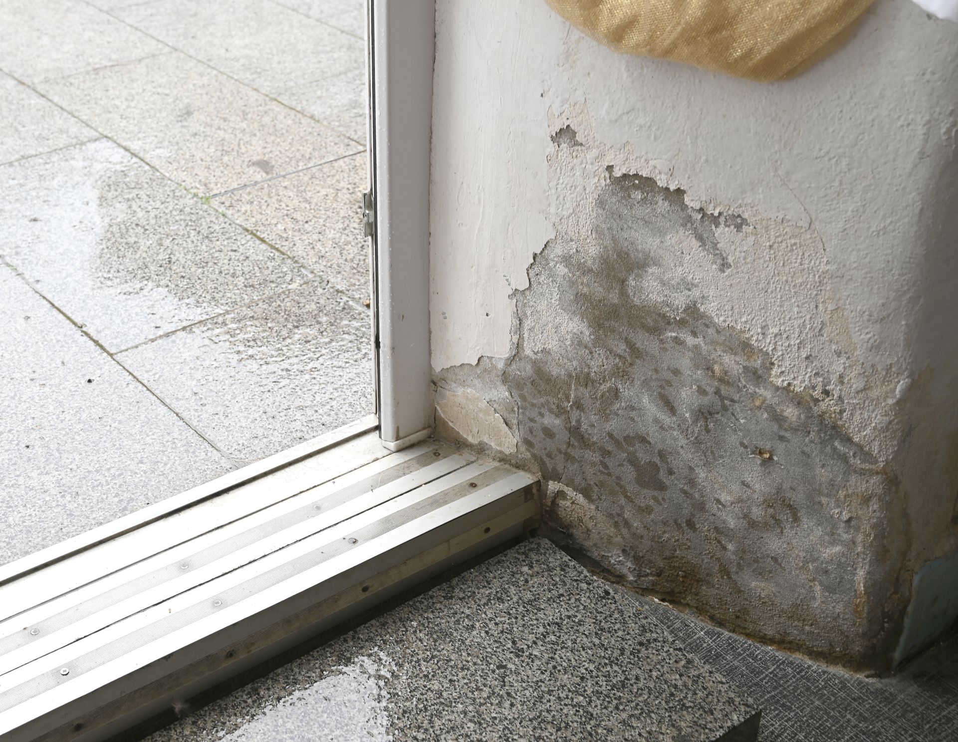 Damaged wall plaster and mold near a doorway threshold on a tiled floor