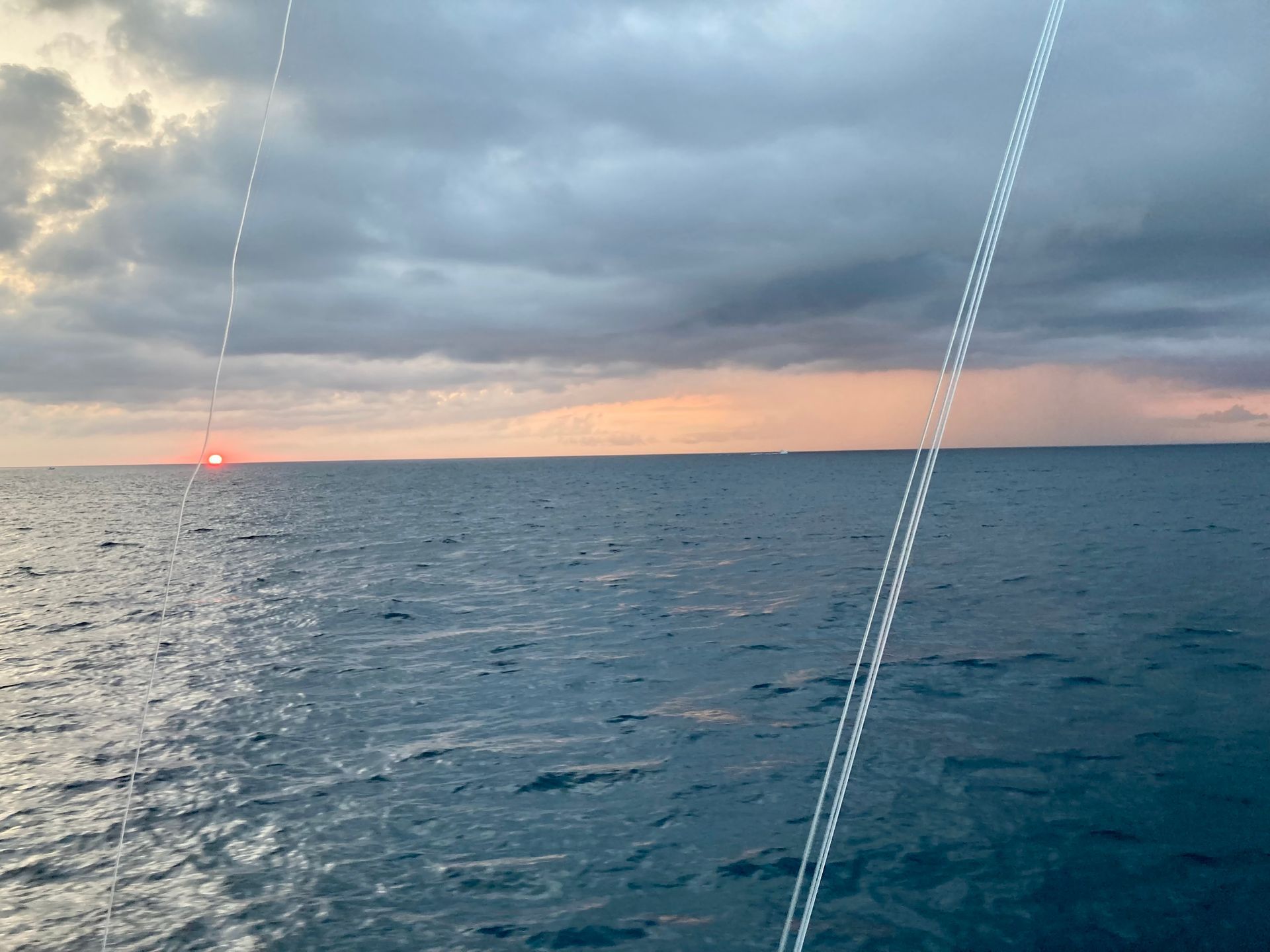 gulf stream deep sea fishing on the West Wind OBX