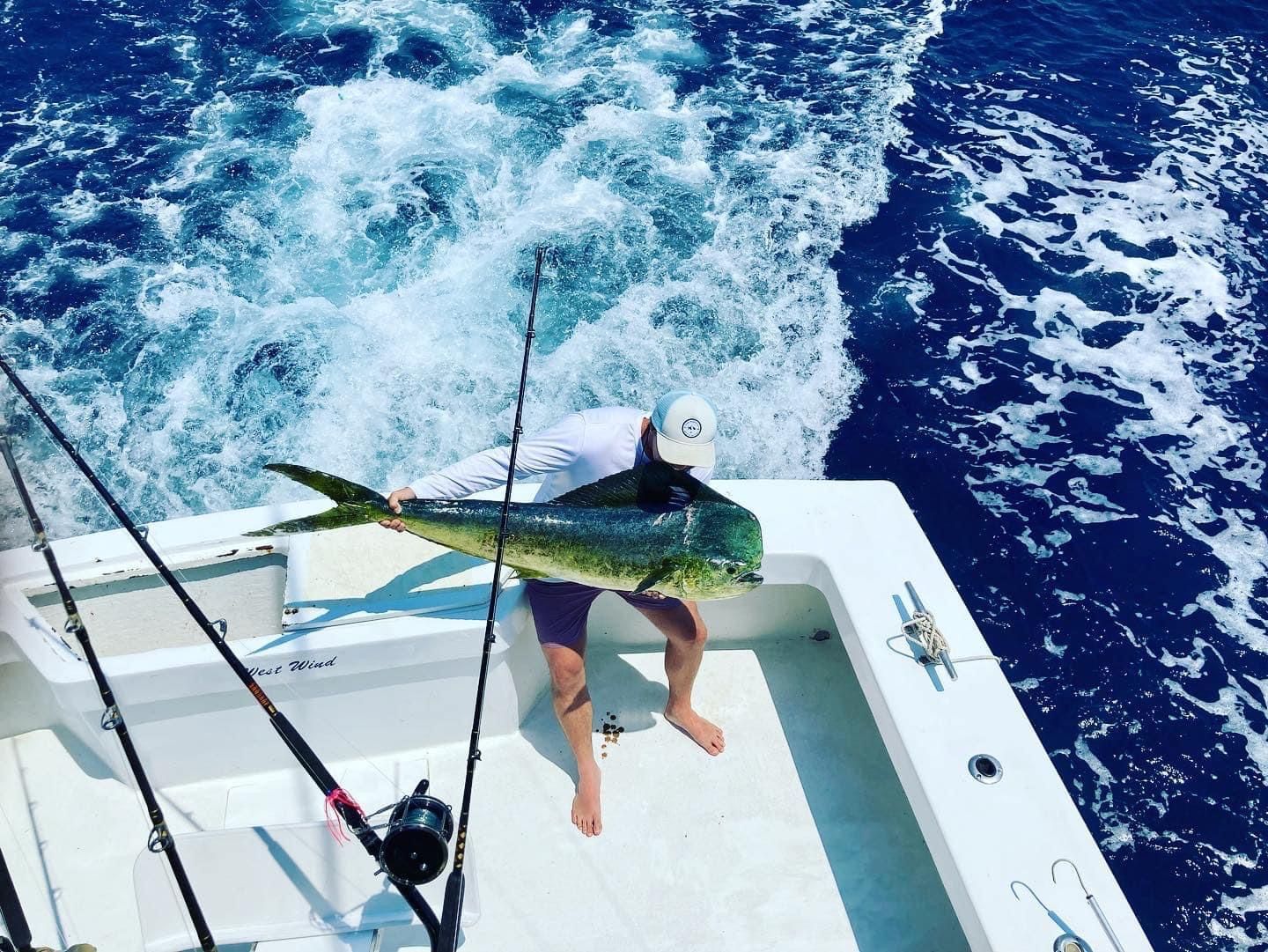 West Winf Charter Rates