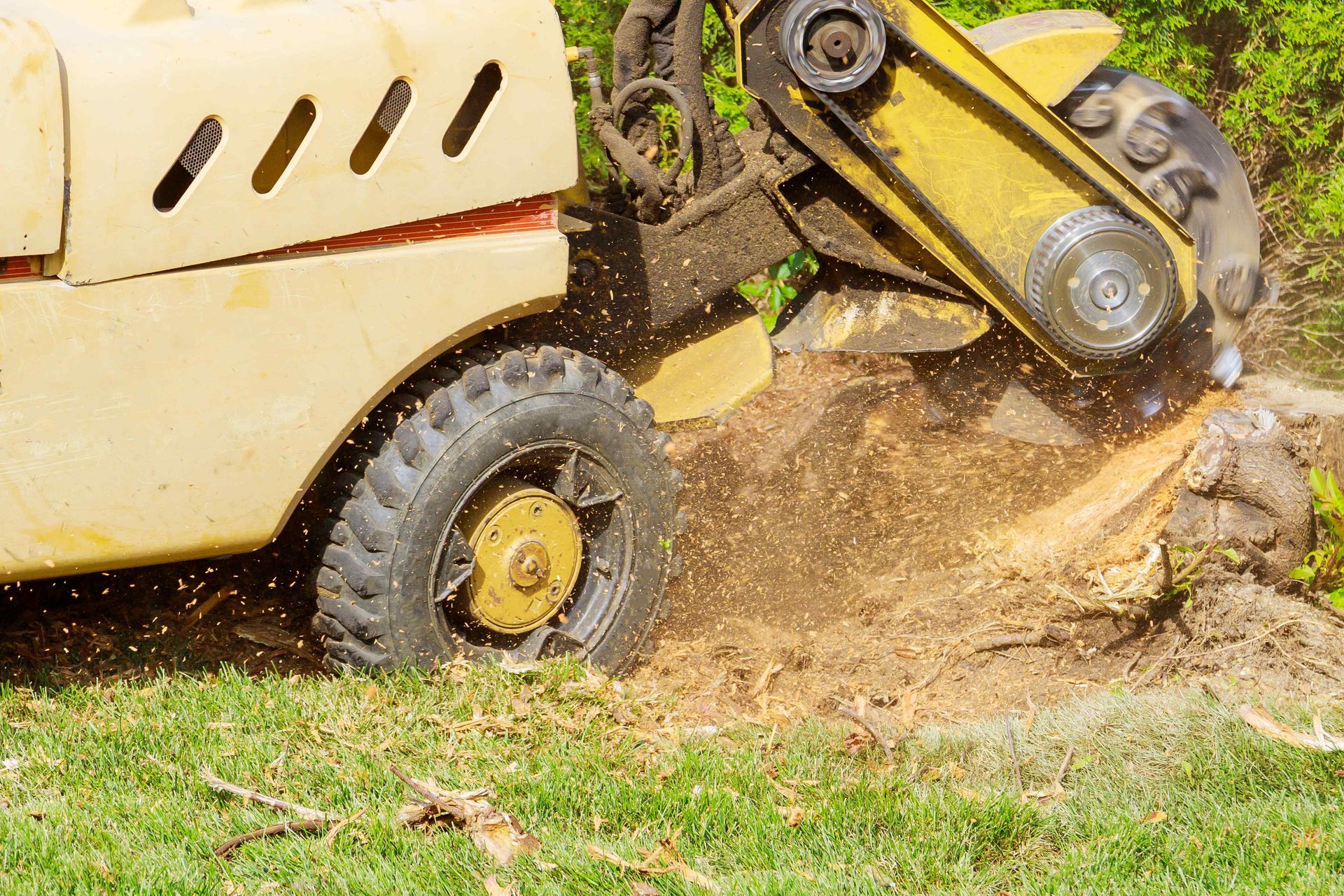 A machine is cutting a tree stump in the grass.