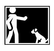 A man is standing next to a dog in a square.