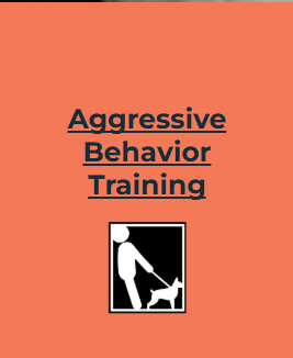 A poster for aggressive behavior training with a picture of a man and a dog for All Dogs Training