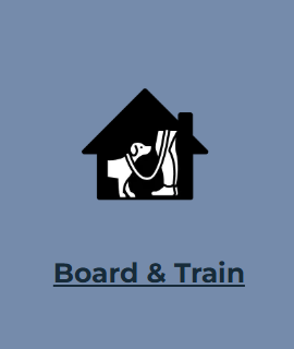 A poster for boarding and training with a picture of a man and a dog in a house for All Dogs Training
