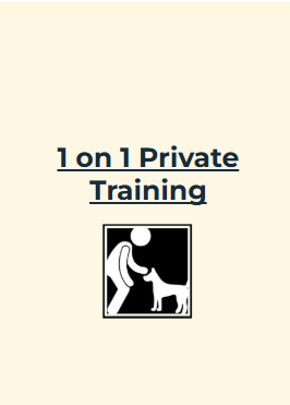A poster for 1 on1 private training with a picture of a man and a dog for All Dogs Training