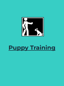 A poster for puppy training with a picture of a man and a dog for All Dogs Training