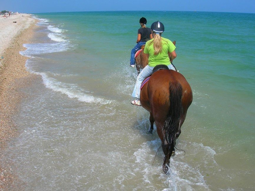 Tavolo del ristorante apparecchiato con bicchieri e vista dalla finestra, un quadro con tre vecchie foto sulla parete.