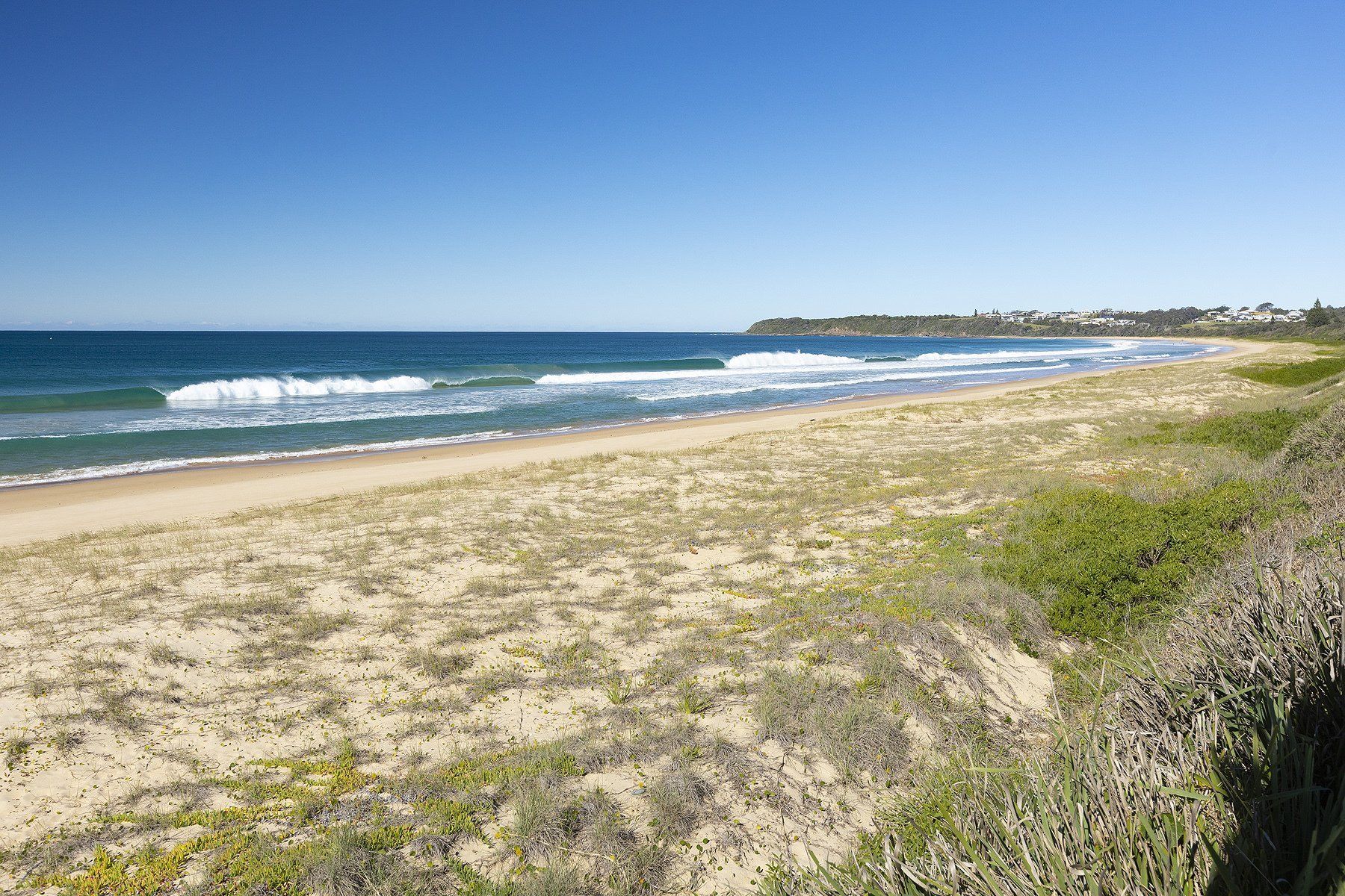 seashells resort beach