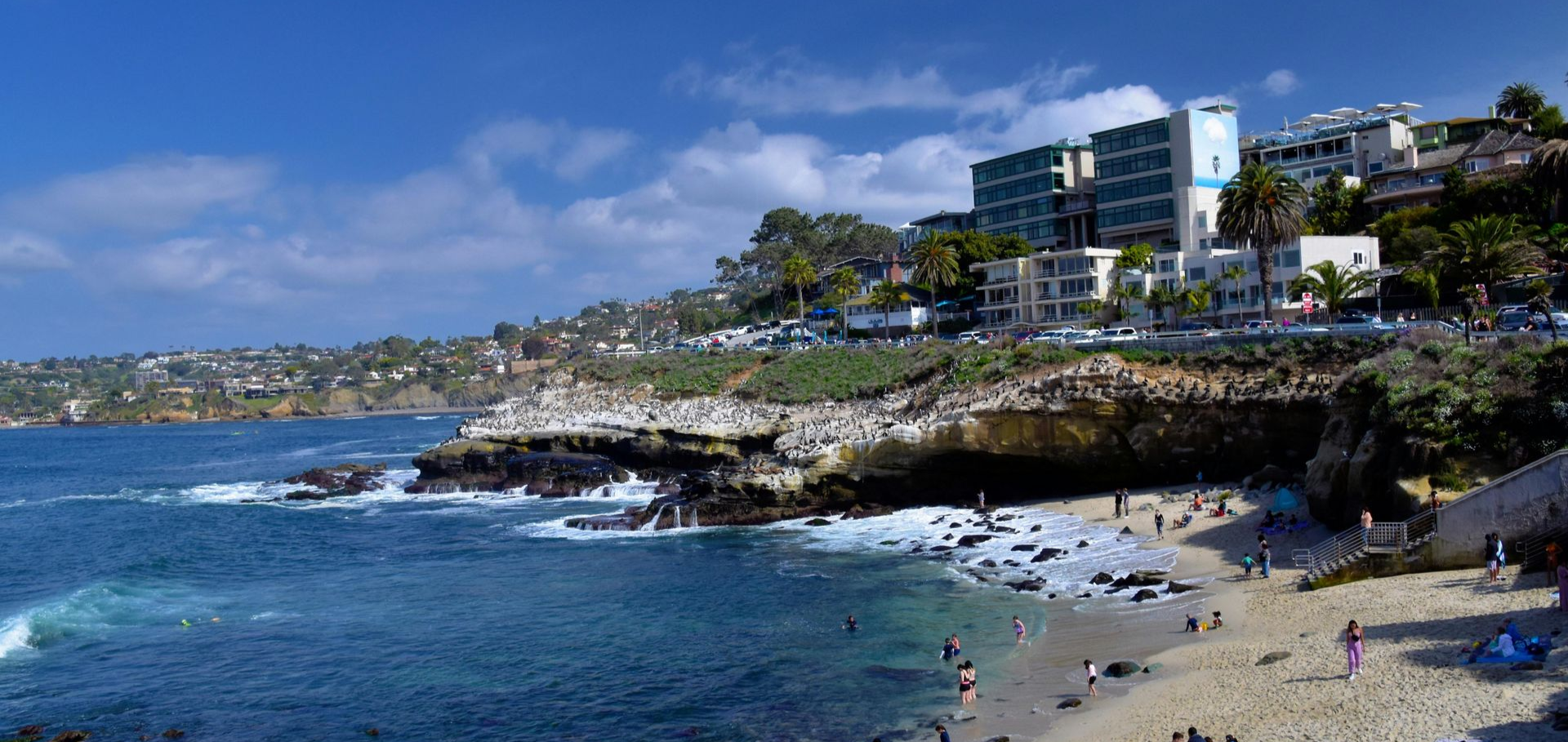 La Jolla Cove | Justin Halbert | Compass Real Estate Top La Jolla Agent