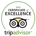 Trip Advisor logo