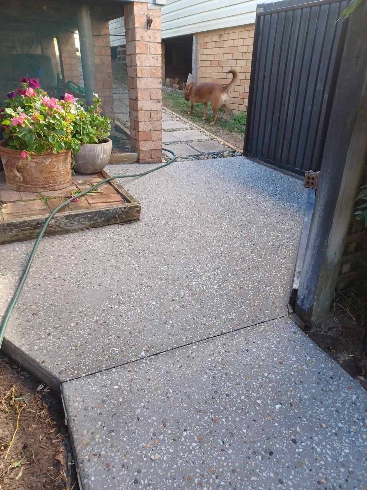 A Dog is Walking on a Concrete Sidewalk Next to a Gate — Brocksolid Concrete in Pillar Valley, NSW