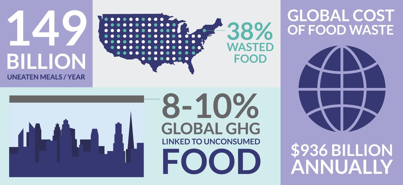 global food waste infographic - Diversys