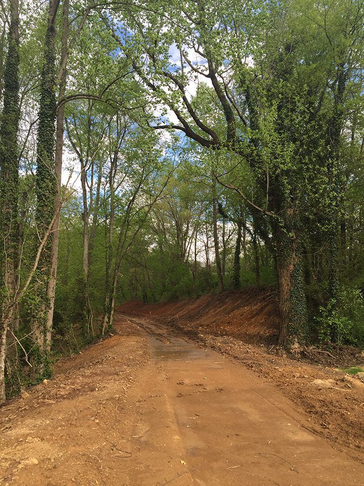 A dirt road going through a forest with trees on both sides.