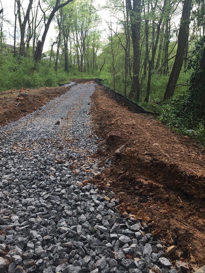 A gravel road in the middle of a forest.
