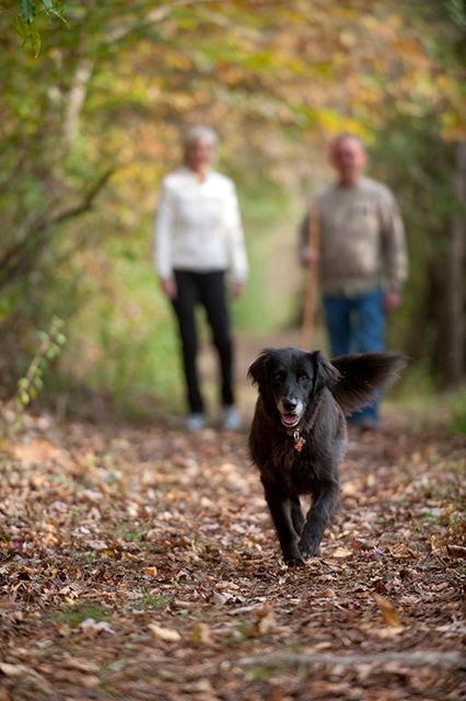 A man and woman are walking a dog on a path in the woods.