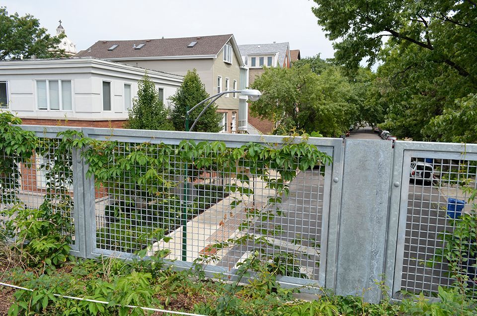 A metal fence with ivy growing on it in front of a house