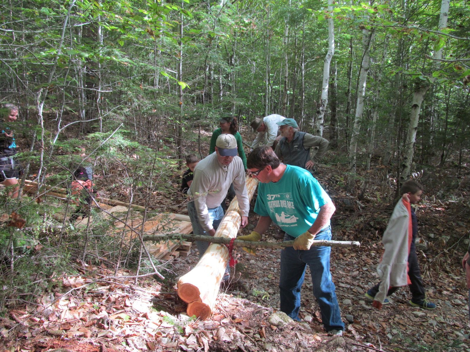 A group of people are working in the woods.