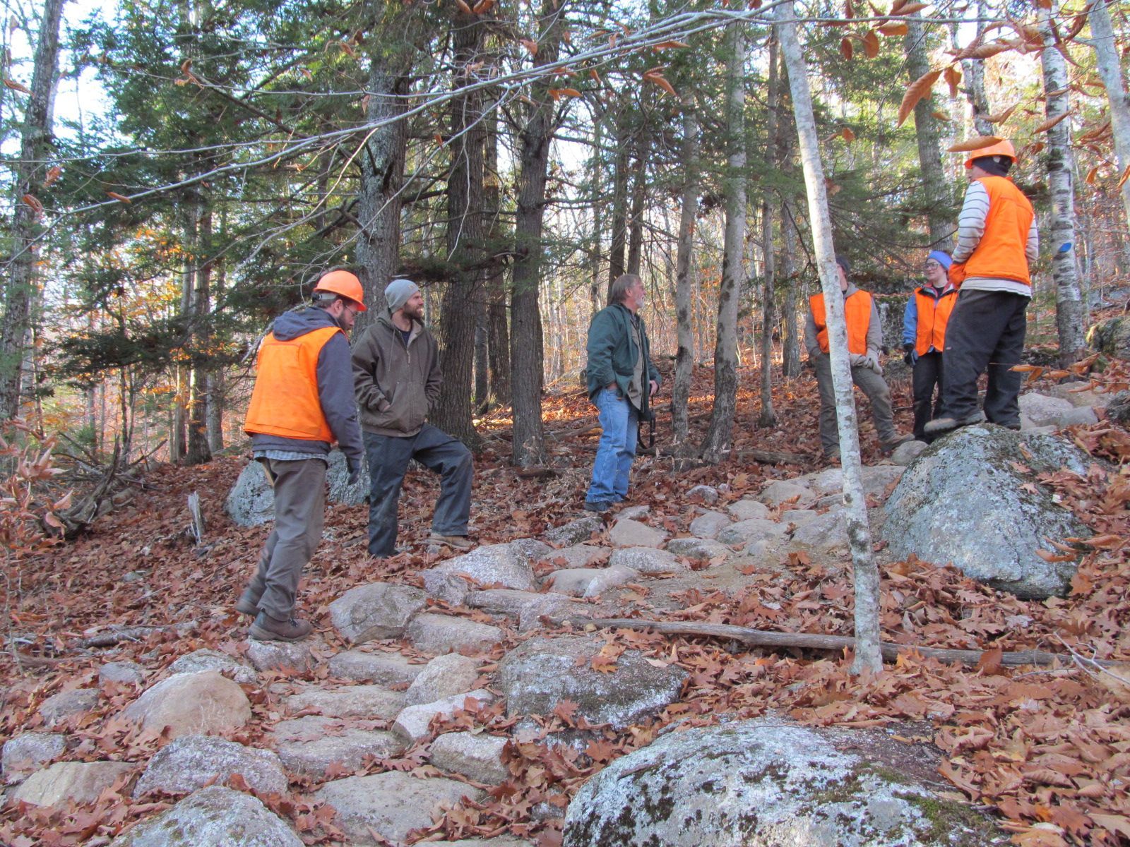 A group of men in orange vests are standing on rocks in the woods