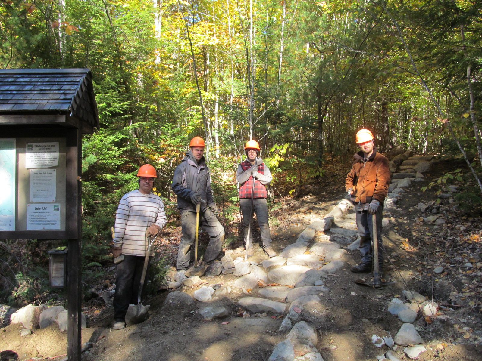 A group of people wearing hard hats are standing in the woods