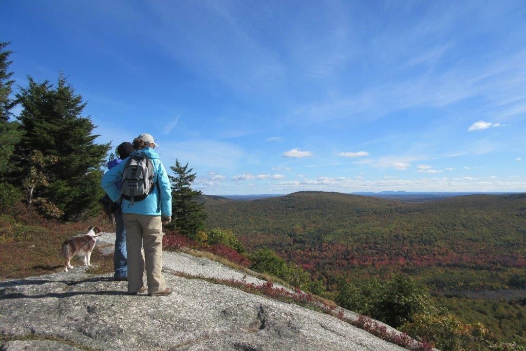 Two people and a dog are standing on top of a hill looking at the landscape.