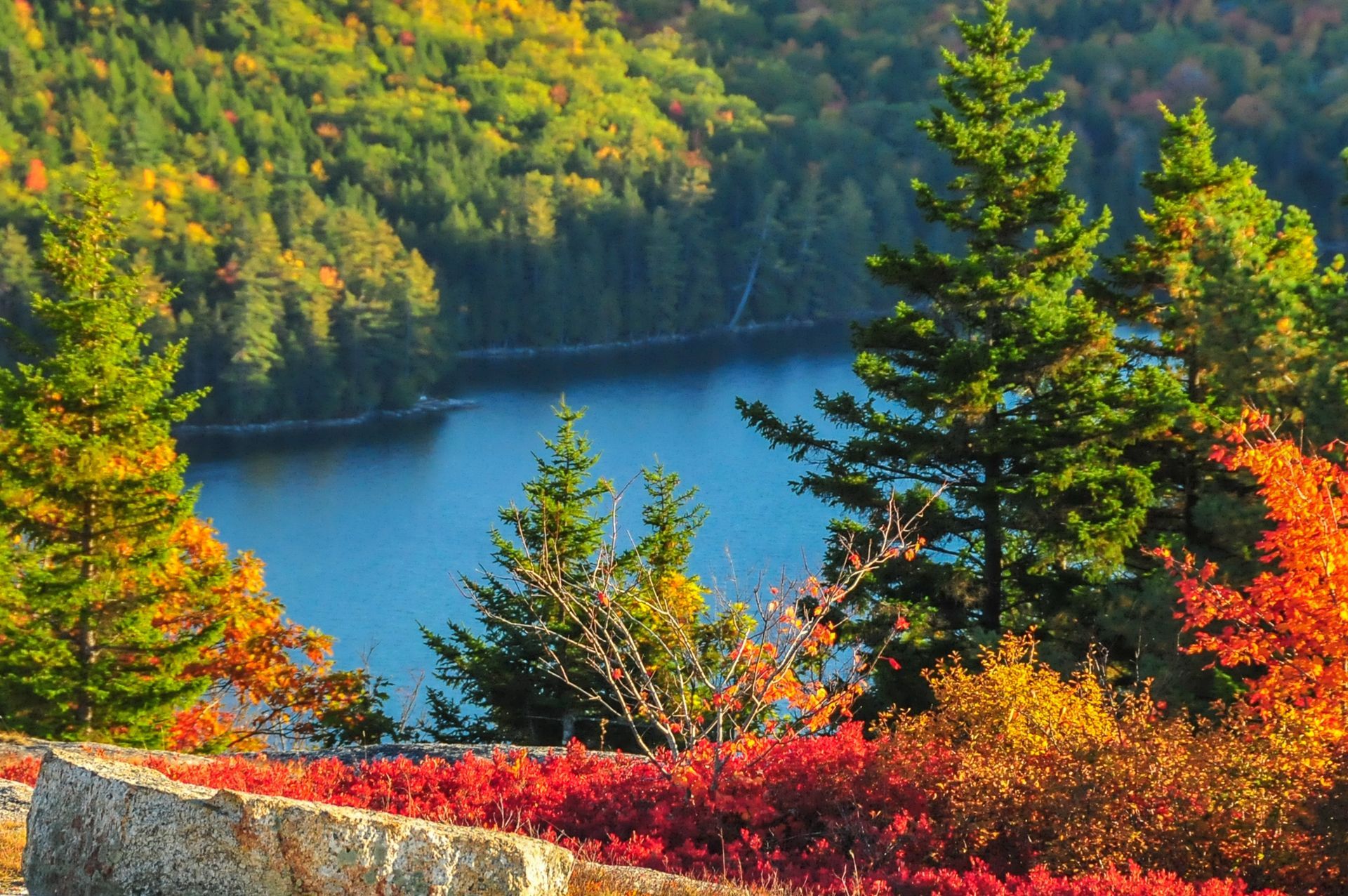 A lake surrounded by trees and leaves in autumn