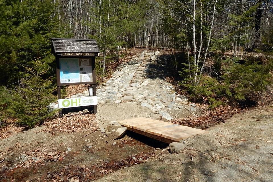 A wooden bench is sitting next to a bulletin board in the middle of a forest.
