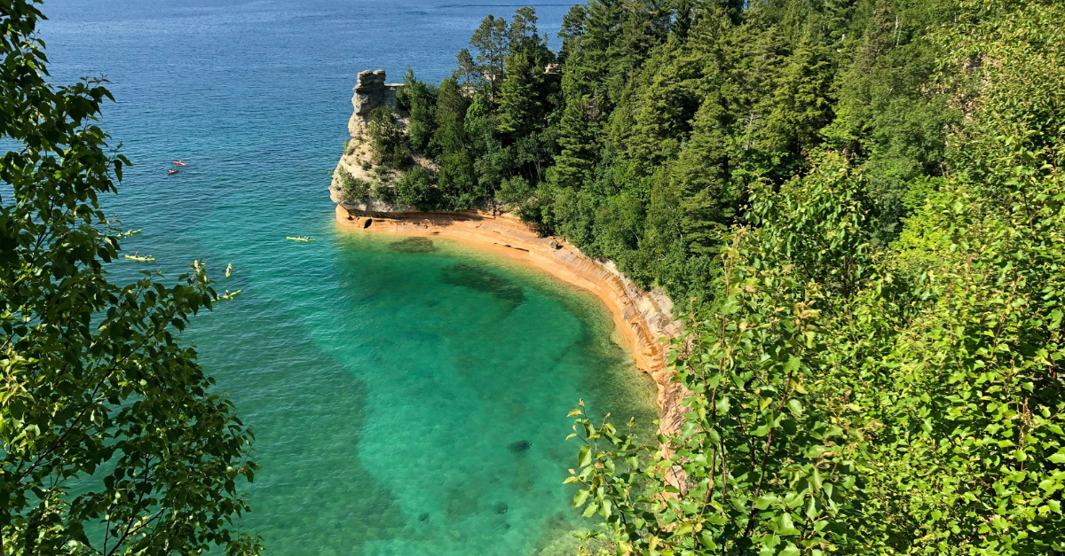 There is a small beach in the middle of the ocean surrounded by trees.
