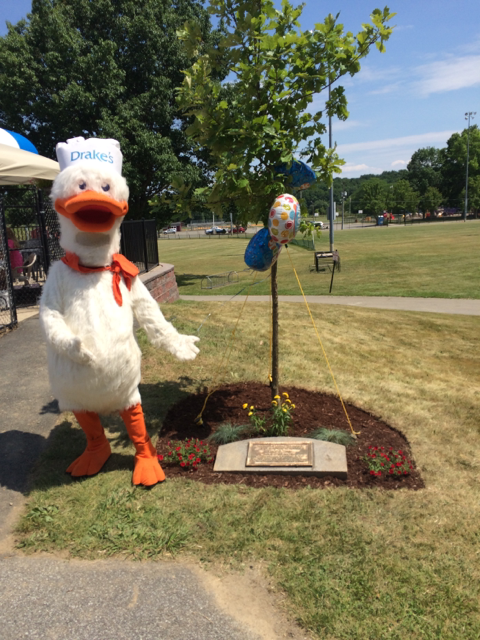 A white duck mascot is standing next to a tree