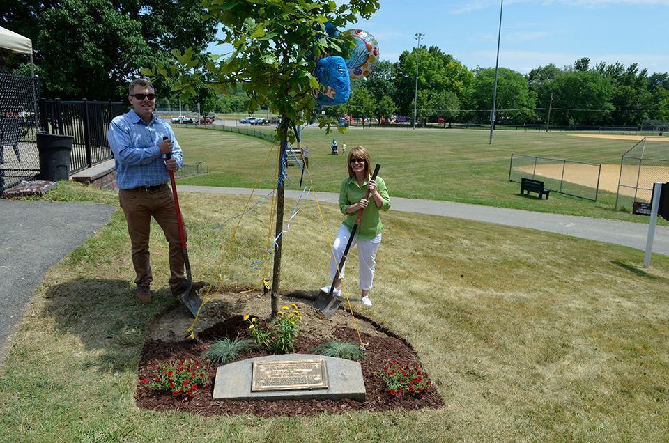 A man and a woman are planting a tree in a park