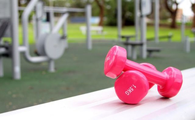 Pink Dumbbells at