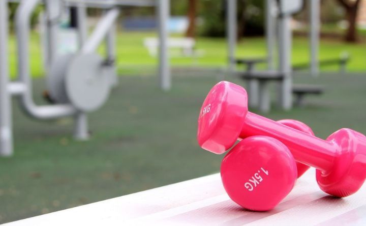 Two pink dumbbells are sitting on a bench in a park.