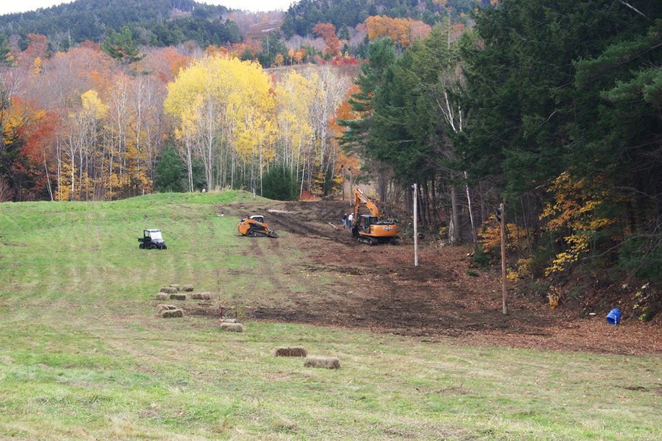 A group of people are working in a field with trees in the background.