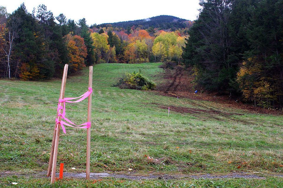 A wooden post with pink ribbon around it in a field