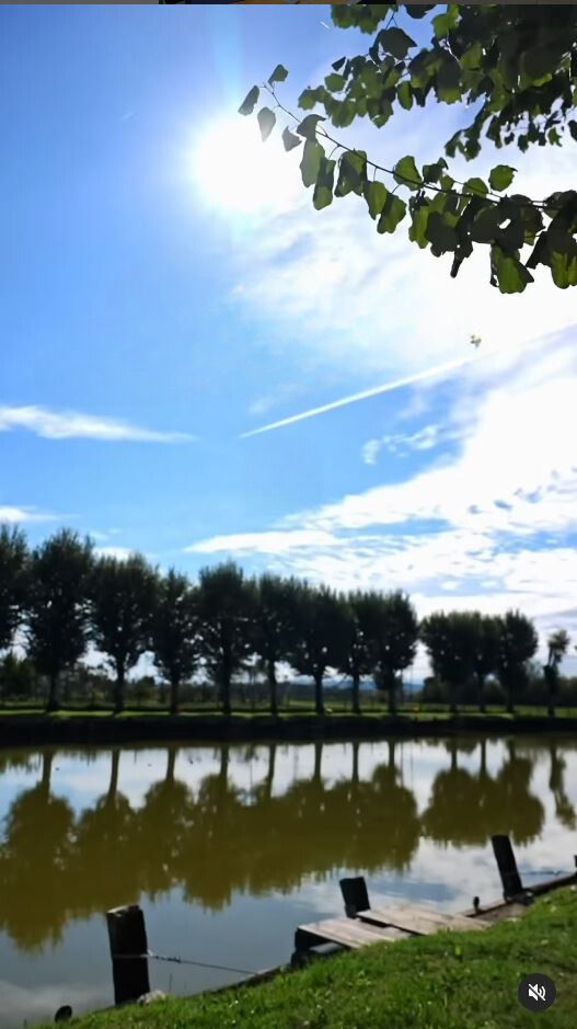 ristorante sul lago bologna