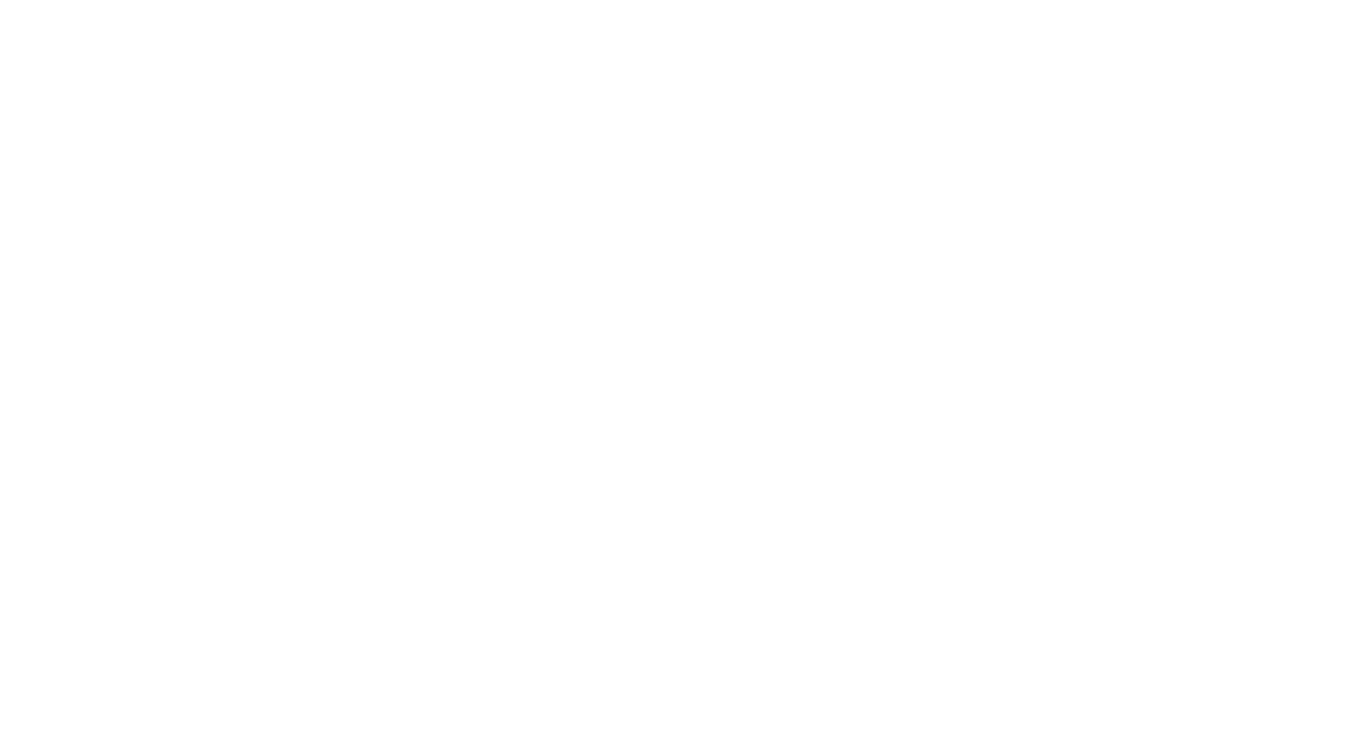 The Hair Connection Logo 