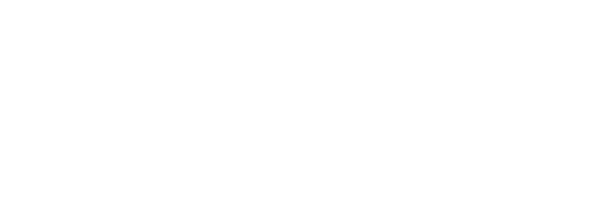 LifeBegins LLC
