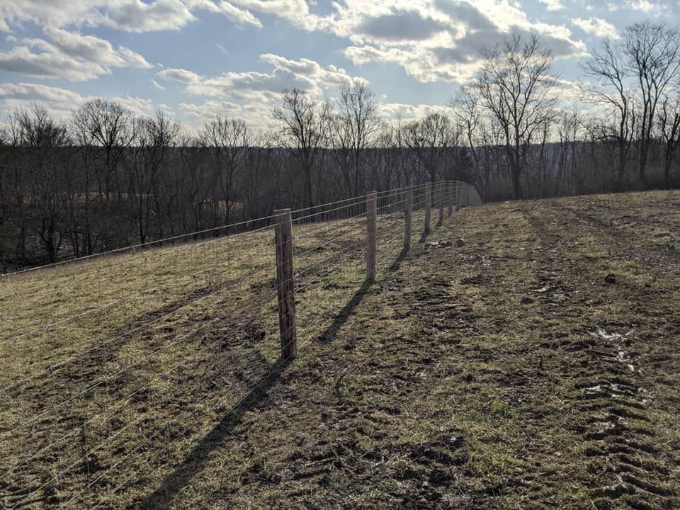 Barbed-wire fence along a grassy hill, with bare trees in the background under a cloudy sky.