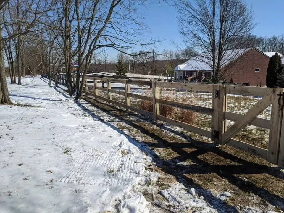 Wooden fence with a gate, in a snowy field next to bare trees under a blue sky.