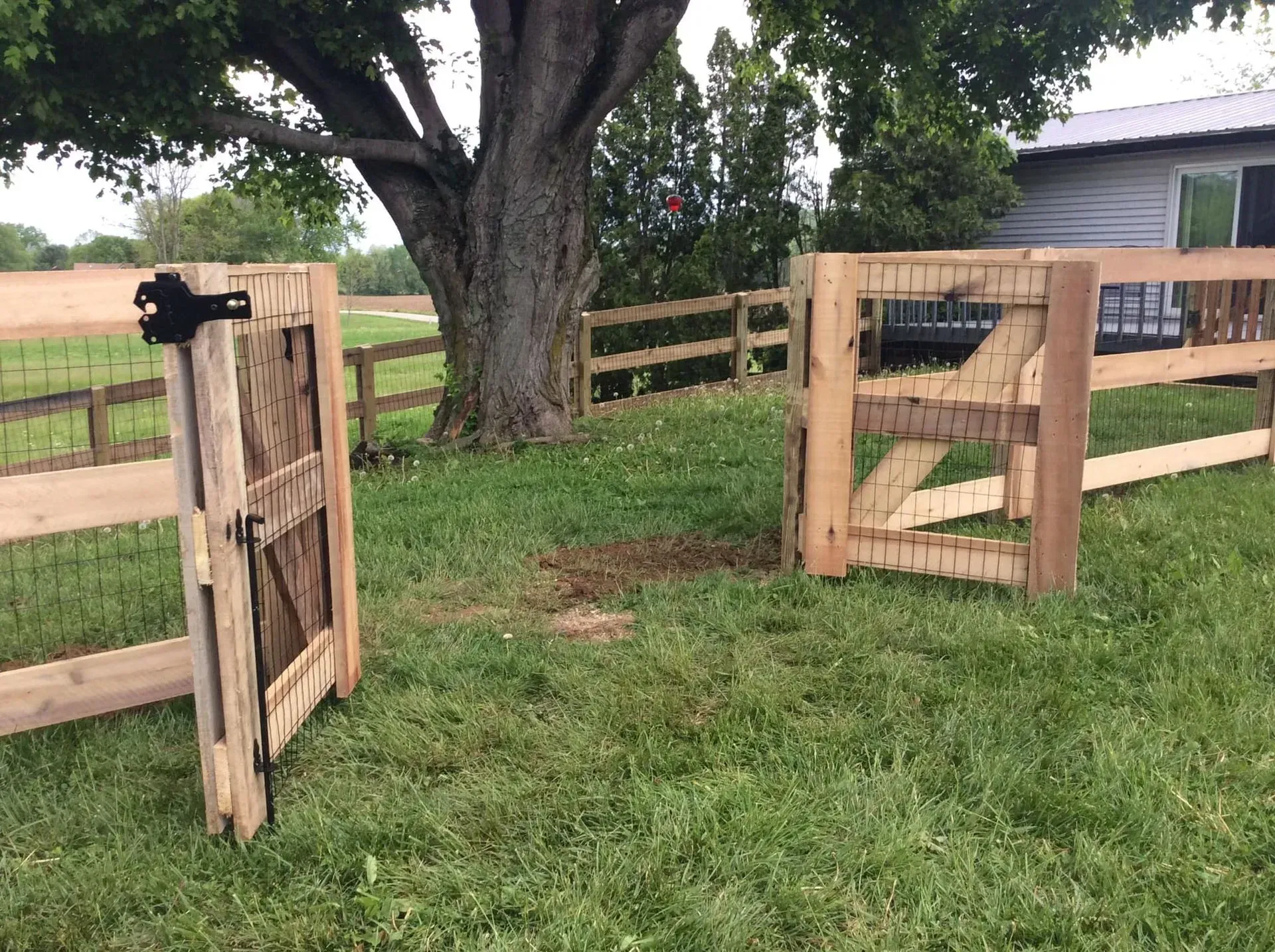 Wooden gate open to a grassy yard with a split-rail fence, a tree, and a building in the background.