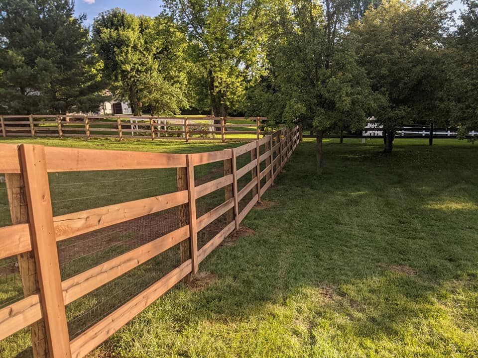 Wooden fence in a grassy yard, trees and house in the background. Sunny day.