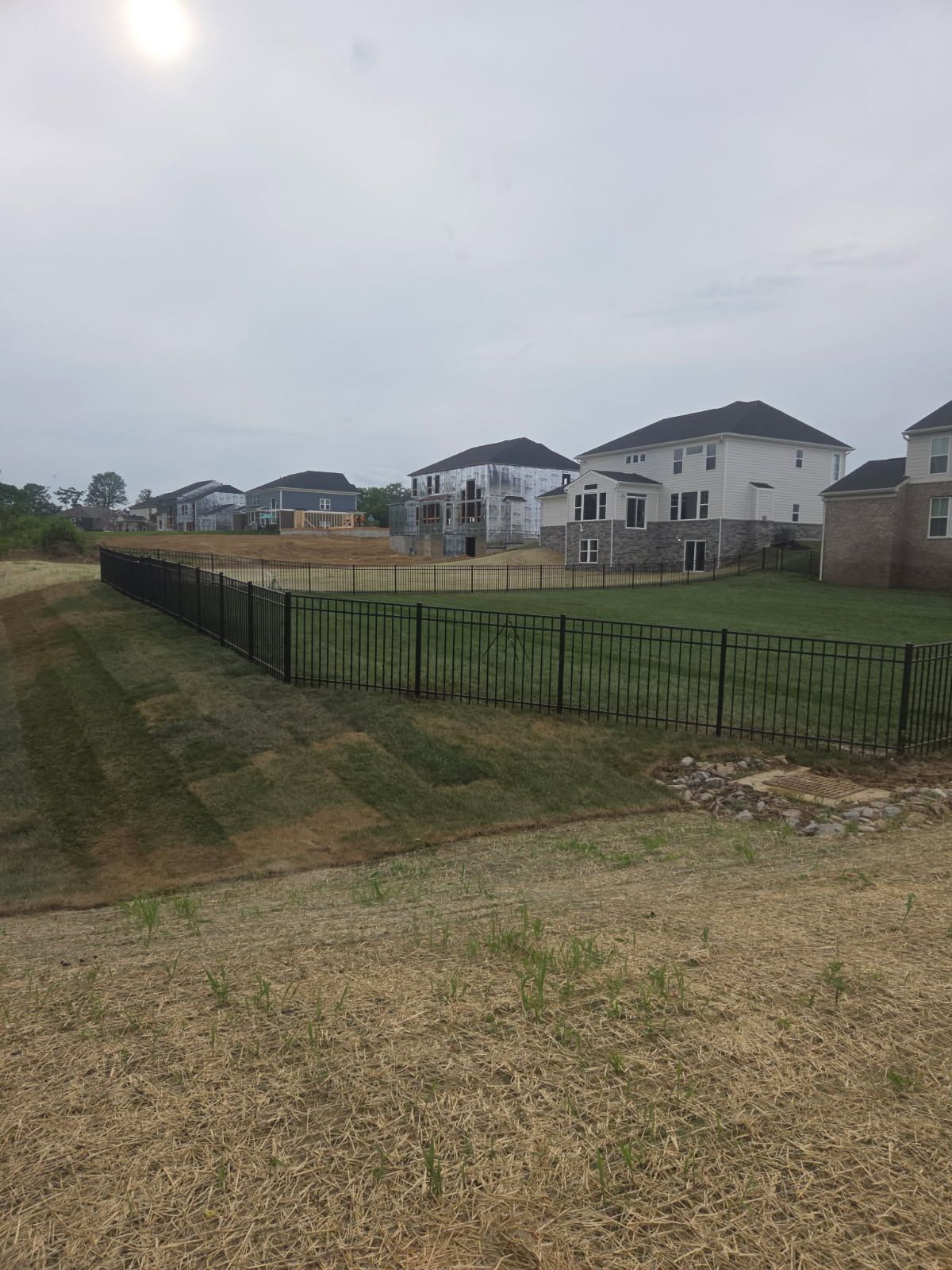 Black metal fence bordering a residential property with houses under construction and a grassy yard.