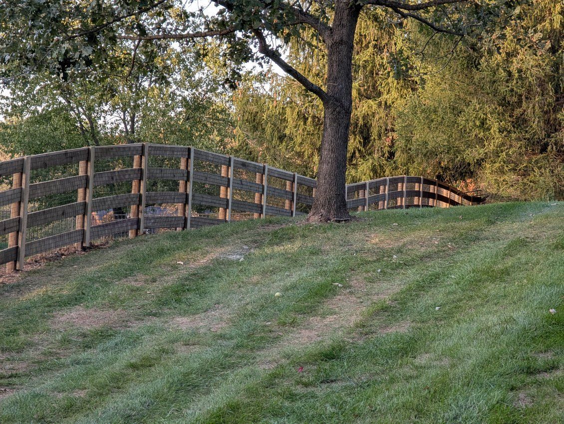 Wooden fence along a grassy hill with a tree; backdrop of trees and sky.