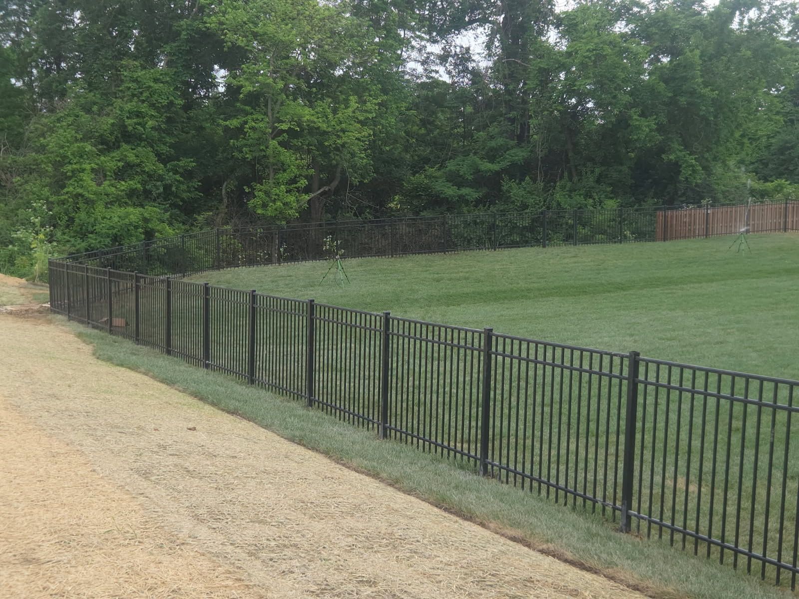 Black metal fence bordering a green lawn, adjacent to a gravel path and trees.