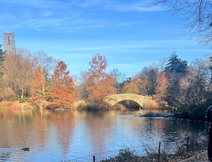 Stone bridge over lake in park; trees with autumn foliage, tower in background, sunny day.