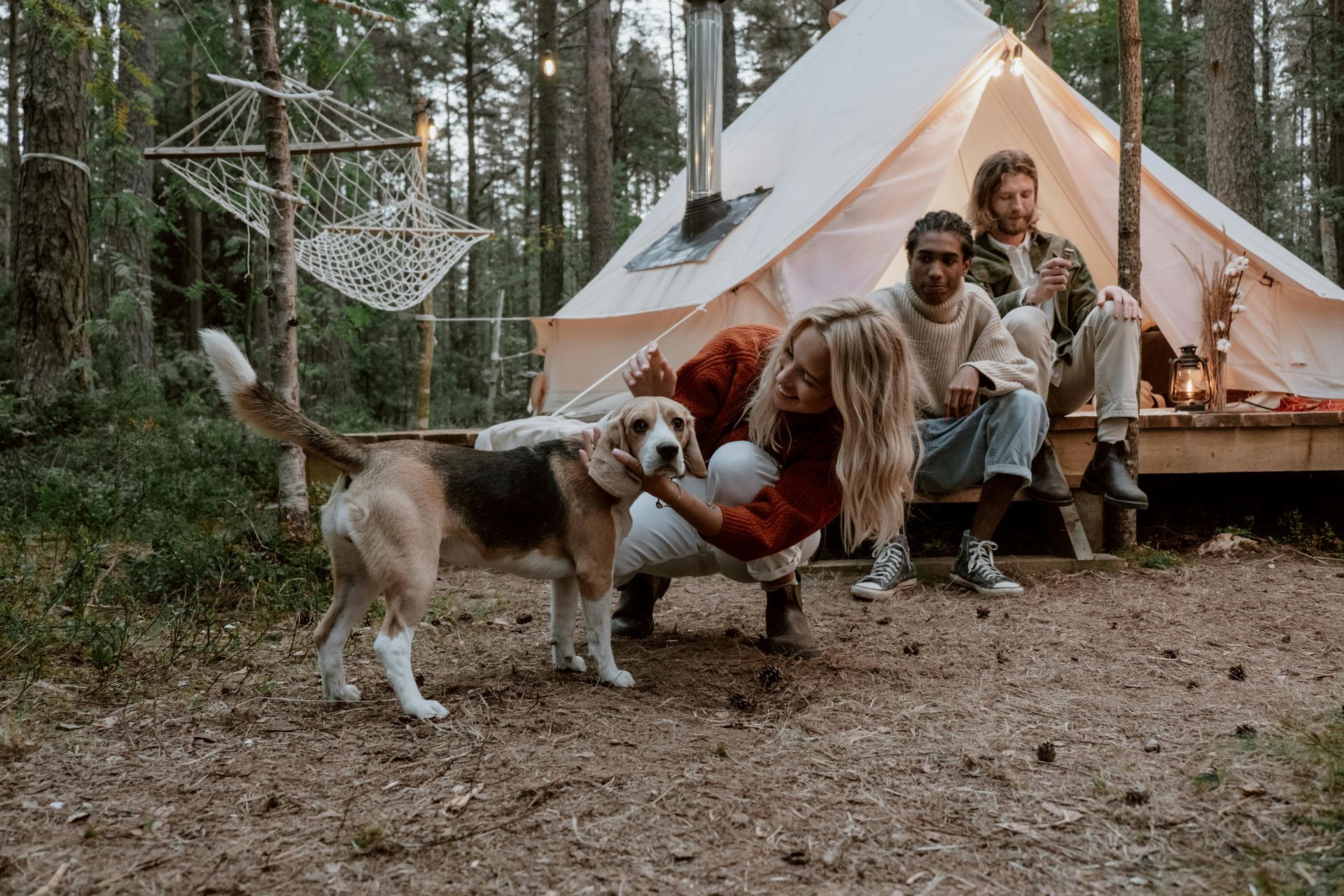 People camping with dog; person petting dog, tent in forest background.