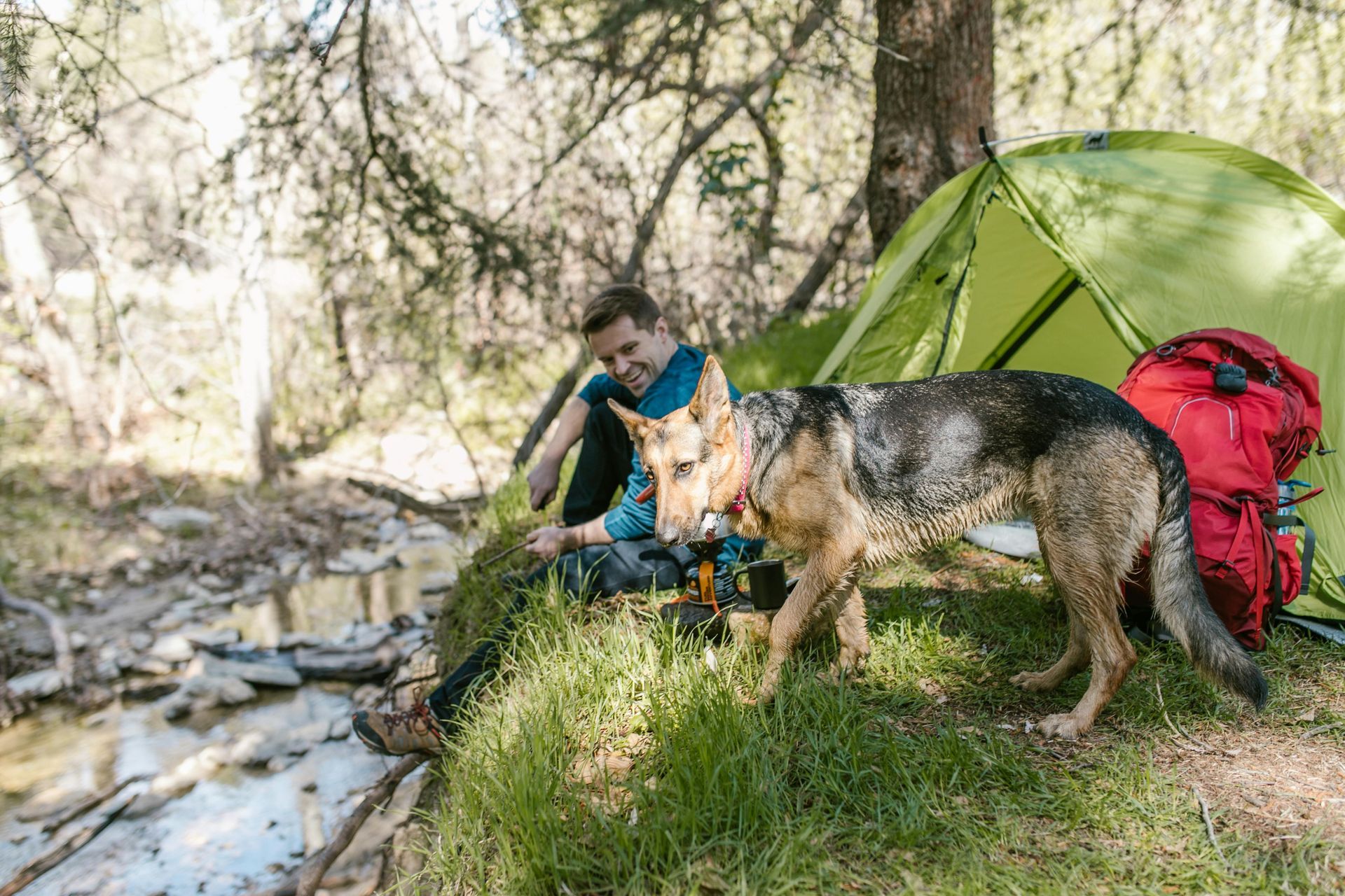 Man and dog camping near a stream. Green tent, red backpack, trees, and sunlight.