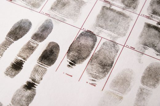 A bunch of fingerprints on a piece of paper