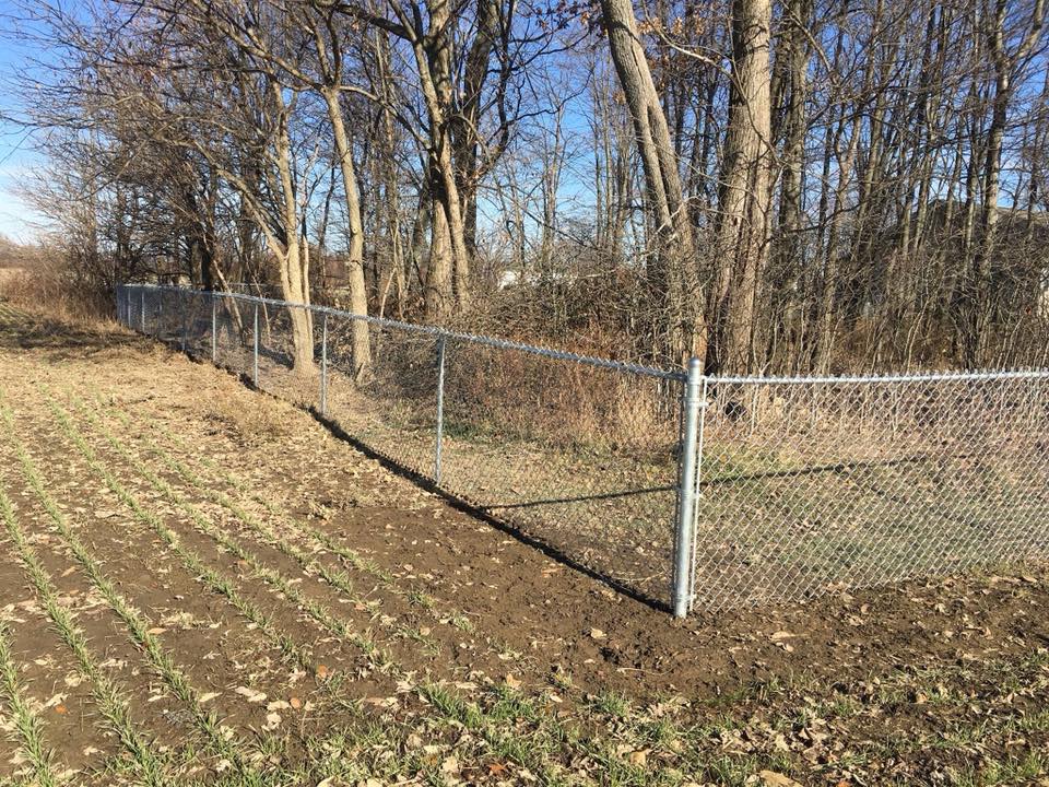 Chain Link Fence for Trees - Marion, OH - Tacketts Fence Service