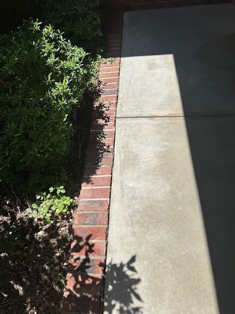A shadow of a tree is cast on a sidewalk next to a brick wall